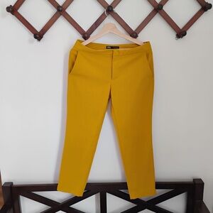 Zara Women's Mustard Skinny Pants size 6